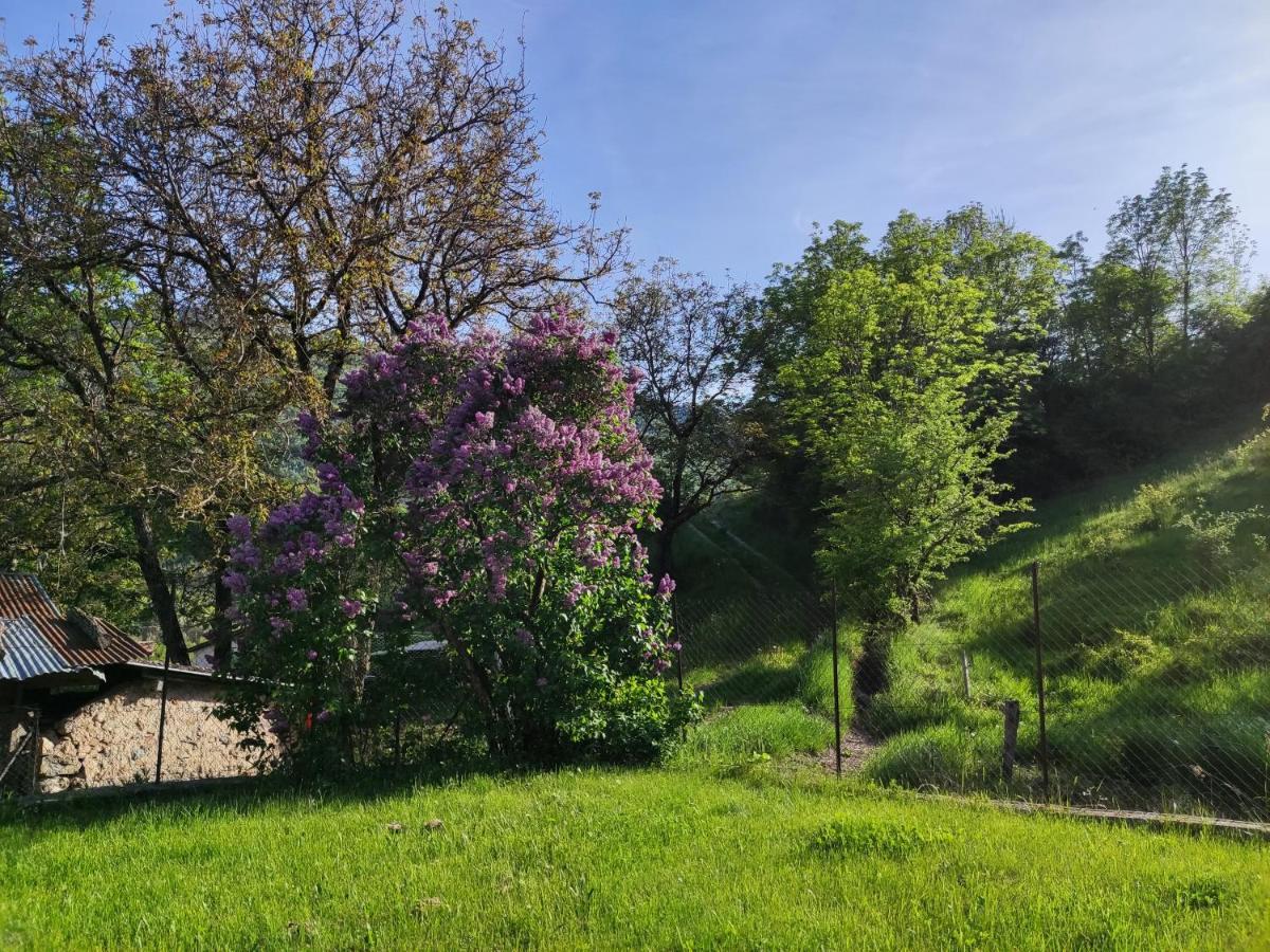 Comme Chez Vous Villa Bayons Dış mekan fotoğraf